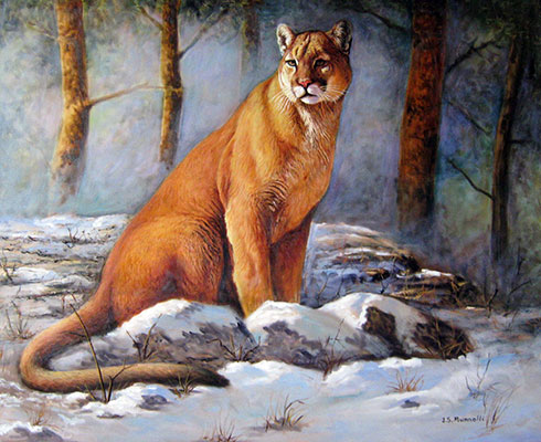 Puma, 30 x 36 by J.S. Munnolli