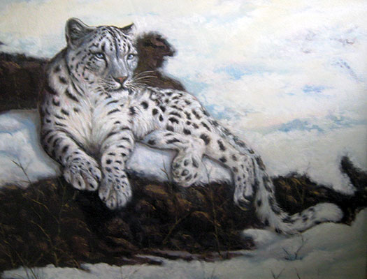 Snow Leopard, 30 x 36, Oil on Canvas  by J.S. Munnolli