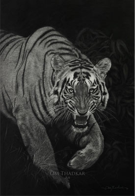 Charcoal on canvas by Om Thadkar                            
                        
                        