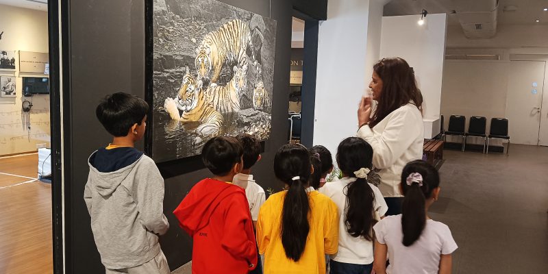 IMG_20241211_165033 IMG_20241211_165033